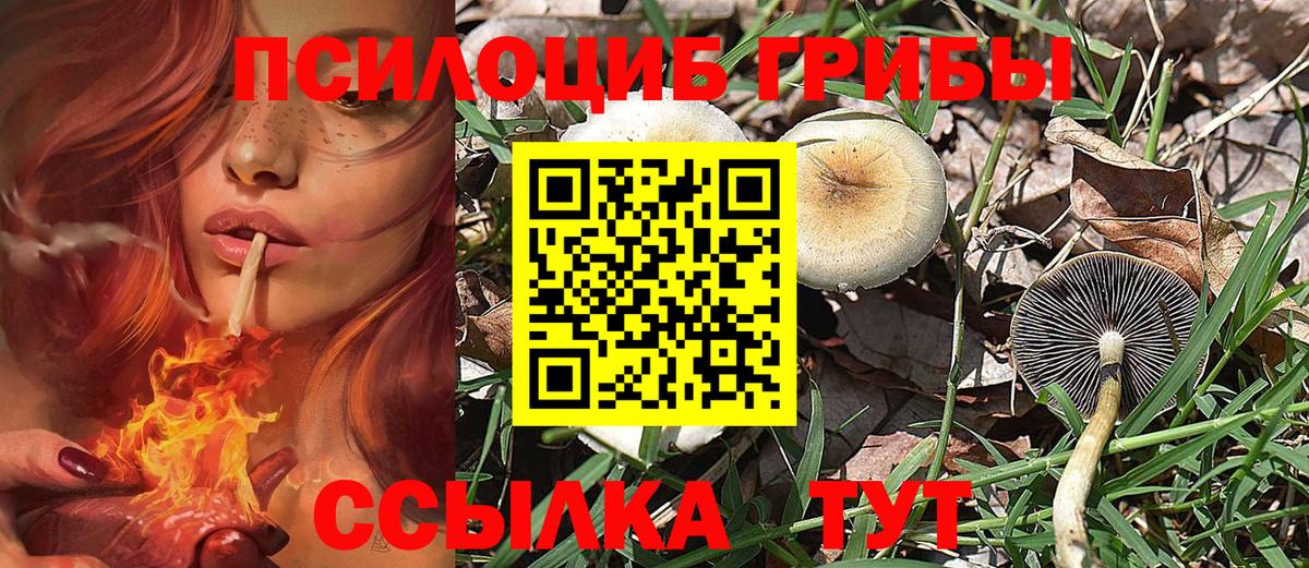 Альметьевск  наркошоп  Вход с VPN  Псилоцибиновые грибы GOLDEN TEACHER 