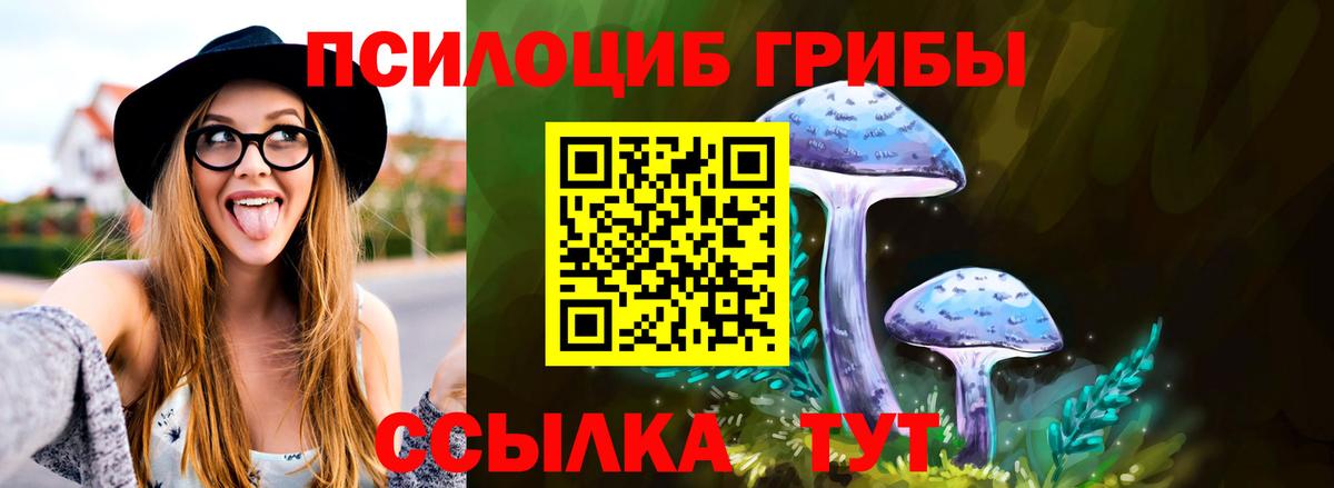 Псилоцибиновые грибы GOLDEN TEACHER Альметьевск